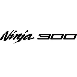 Kawasaki ninja 300