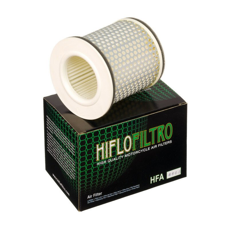 filtro-de-aire-hiflofiltro-hfa4603-01.jpg Filtro de aire HIFLOFILTRO HFA4603 - Imagen 1